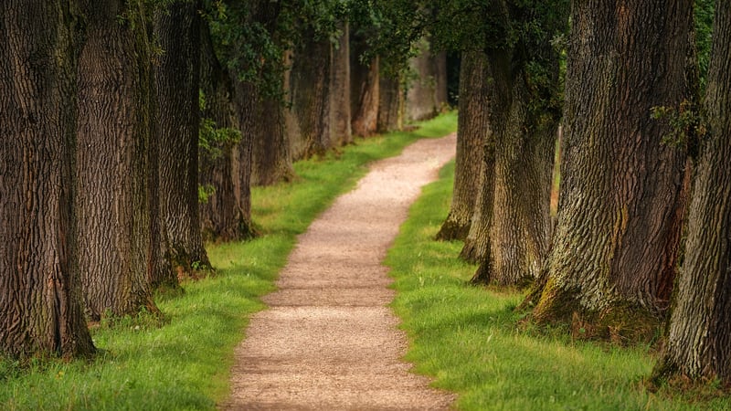 Hiking along a historical trail